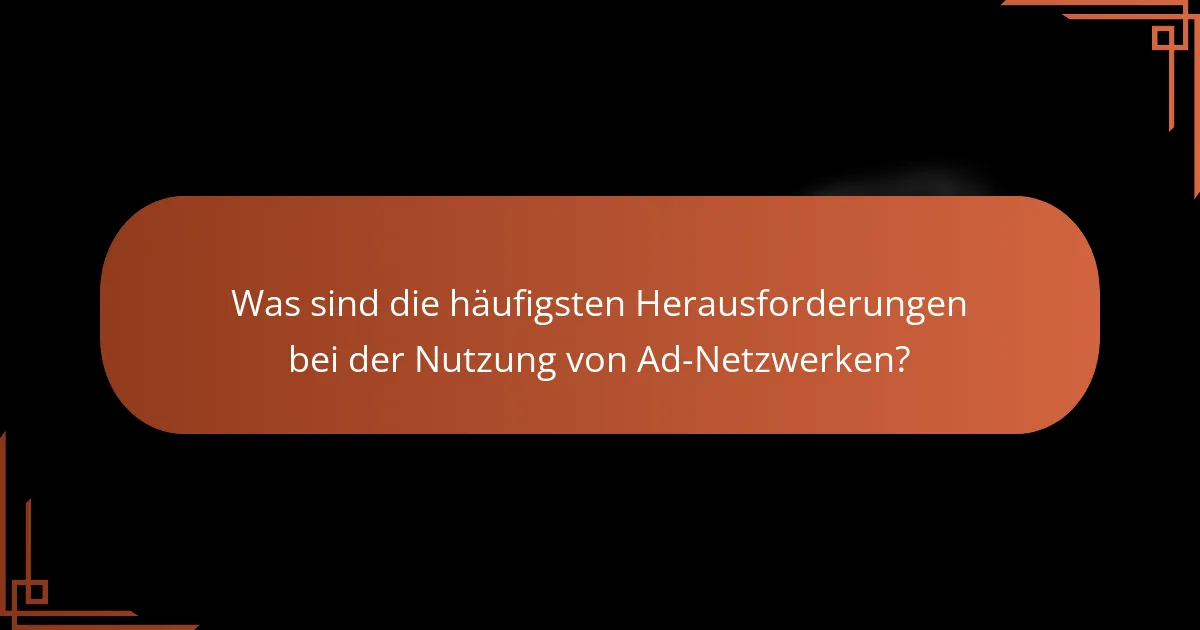 Was sind die häufigsten Herausforderungen bei der Nutzung von Ad-Netzwerken?