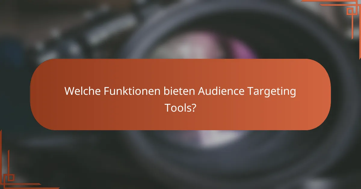 Welche Funktionen bieten Audience Targeting Tools?