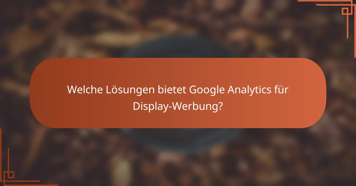 Welche Lösungen bietet Google Analytics für Display-Werbung?