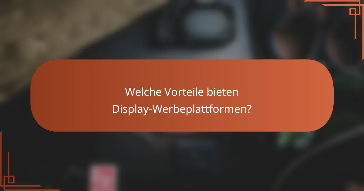 Welche Vorteile bieten Display-Werbeplattformen?