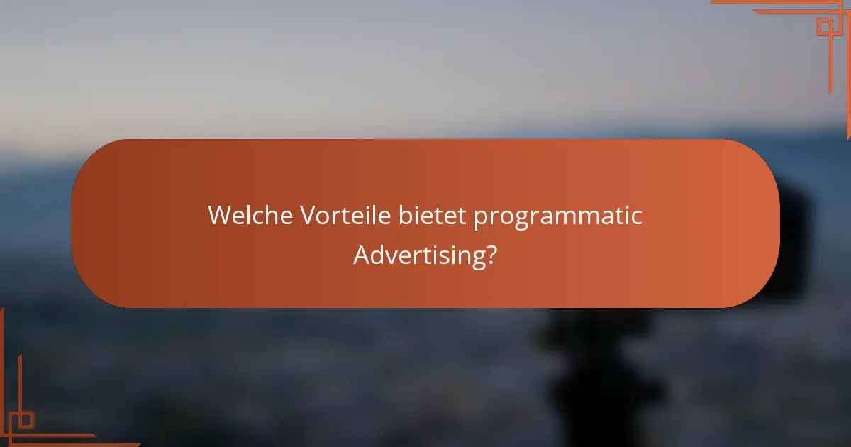Welche Vorteile bietet programmatic Advertising?
