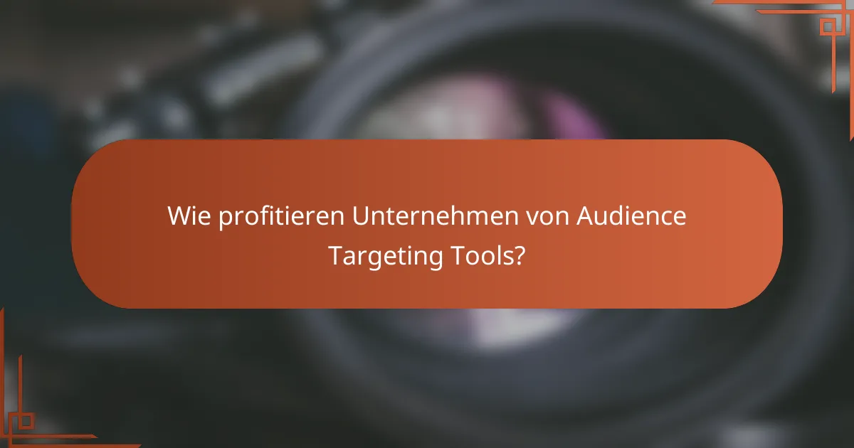 Wie profitieren Unternehmen von Audience Targeting Tools?